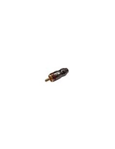 SP/367R RCA MASCHIO ROSSO
